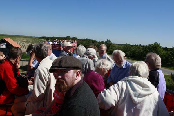 sommer2011 080